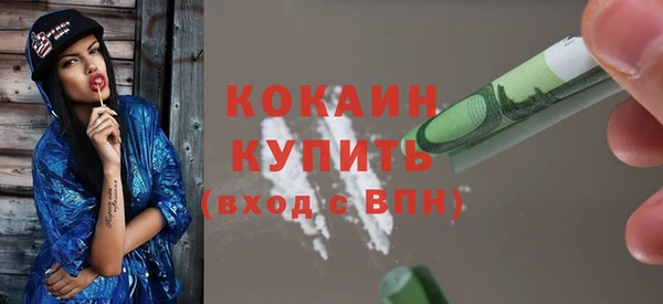 стаф Аркадак